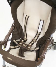 キャンディープラス　バートブラウン