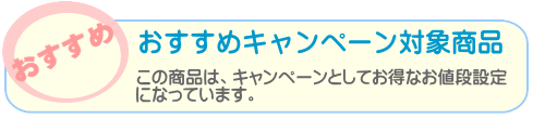 レンタルおすすめキャンペーン