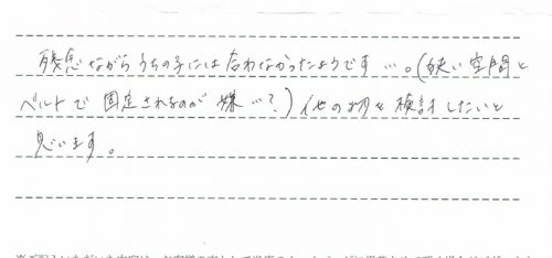 ネムリラ AUTO SWING のレンタルご利用後のレビュー