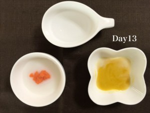 離乳食13日目