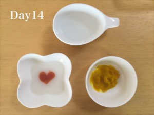 離乳食14日目