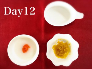 離乳食12日目