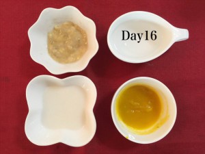 離乳食16日目