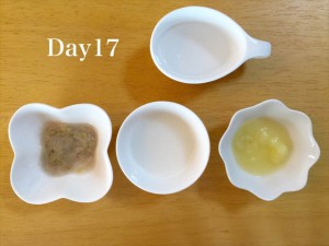 離乳食17日目