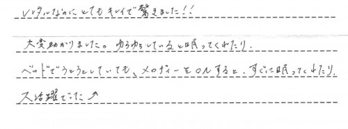 ルシエスオートスウィングのレンタルご利用後のお客様の声