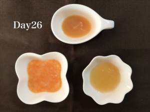 離乳食26日目