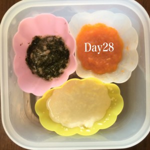 離乳食28日目