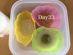 離乳食33日目