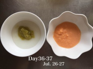 離乳食36-37日目