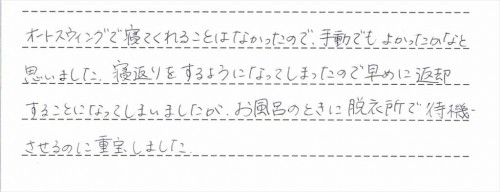 ロアンジュオートスウィングのレンタルご利用後のお客様の声