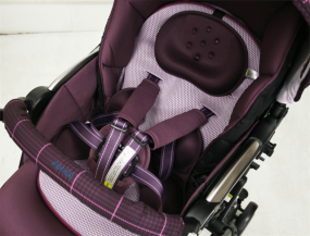 ソラリア 2014 ホリーパープル