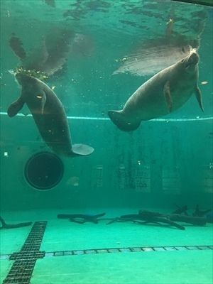 ちびっこYUKIのもぐもぐ離乳食日記