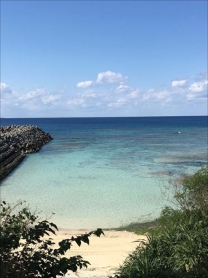 ちびっこYUKIのもぐもぐ離乳食日記