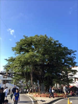 ちびっこYUKIのもぐもぐ離乳食日記