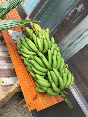 っこYUKIのもぐもぐ離乳食日記