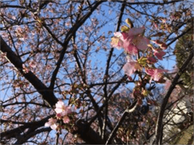 ちびっこYUKIのもぐもぐ離乳食日記