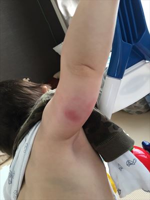 ちびっこYUKIのもぐもぐ離乳食日記