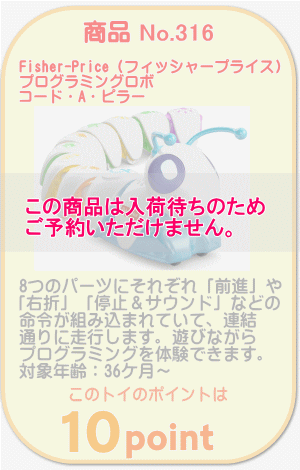 No.316　プログラミングロボ　コード・A・ピラー