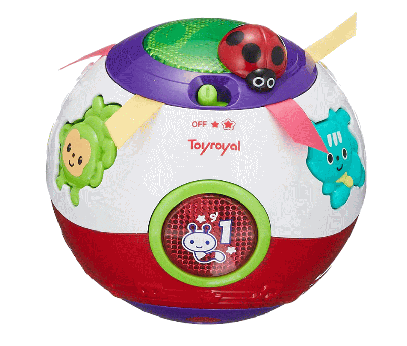 おいかけてコロコロボール