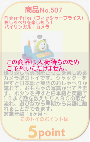 商品No.507 おしゃべりを楽しもう！バイリンガル・カメラ