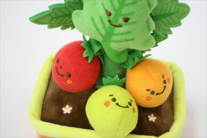 商品No.162 ミニファームシリーズ もぎもぎトマト畑