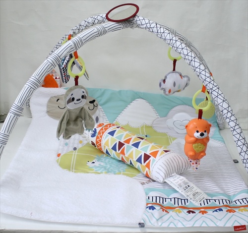 商品No.093 パーフェクトセンス デラックスジム