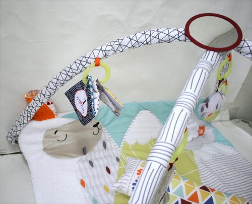 商品No.093 パーフェクトセンス デラックスジム