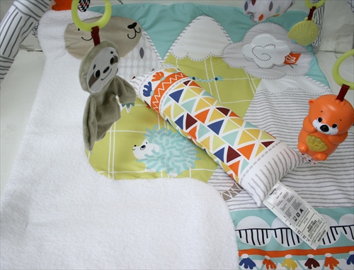 商品No.093 パーフェクトセンス デラックスジム