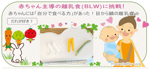 赤ちゃん主導の離乳食(BLW)に挑戦!